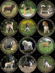 Dog O'Clock showing some additional clock faces